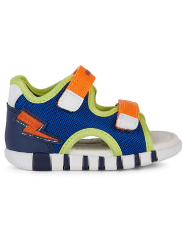 Geox Sandalen "Iupidoo" in Dunkelblau