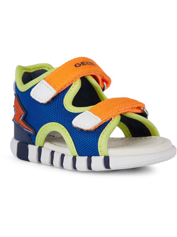 Geox Sandalen "Iupidoo" in Dunkelblau