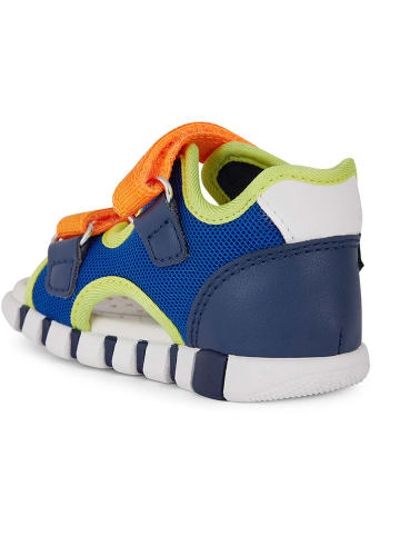 Geox Sandalen "Iupidoo" in Dunkelblau