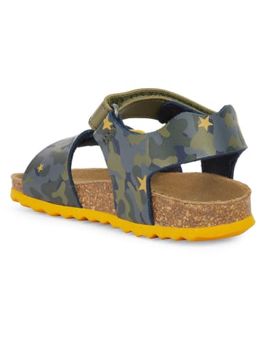Geox Sandalen "Chalki" kaki