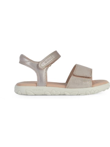 Geox Leder-Sandalen "Haiti" in Silber