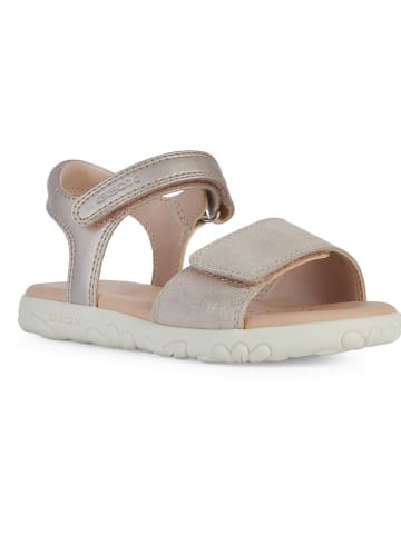 Geox Leder-Sandalen "Haiti" in Rosé