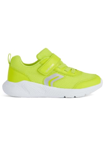 Geox Sneakers "Sprintye" in Grün