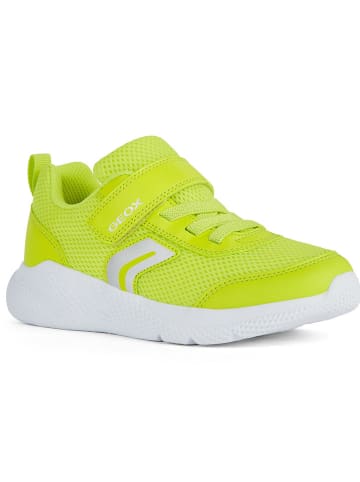 Geox Sneakersy "Sprintye" w kolorze zielonym