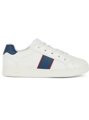 Geox Sneakers "Eclyper" crème