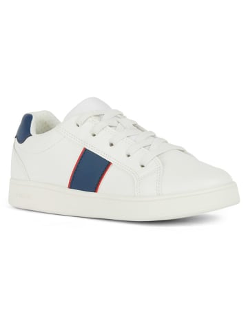 Geox Sneakersy "Eclyper" w kolorze kremowym