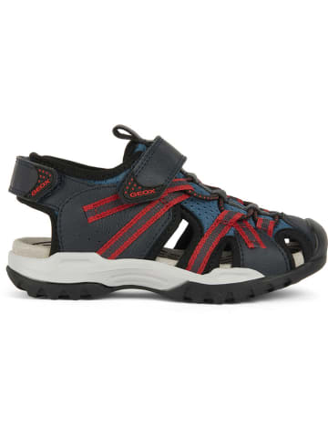 Geox Enkelsandalen "Borealis" antraciet