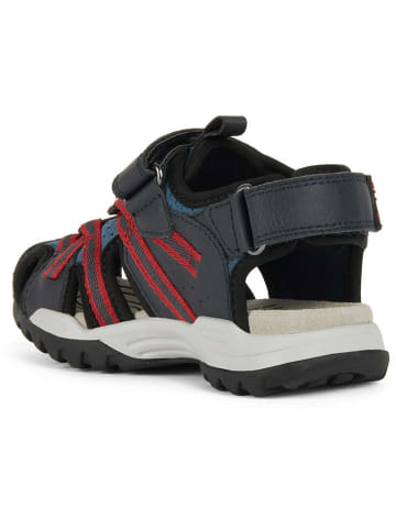 Geox Halbsandalen "Borealis" in Anthrazit