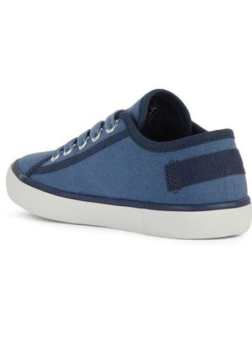 Geox Sneakers "Gisli" in Blau