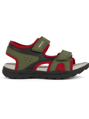 Geox Sandalen "Vaniett" in Grün