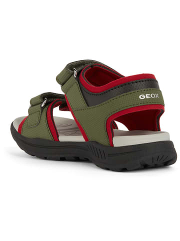 Geox Sandalen "Vaniett" in Grün