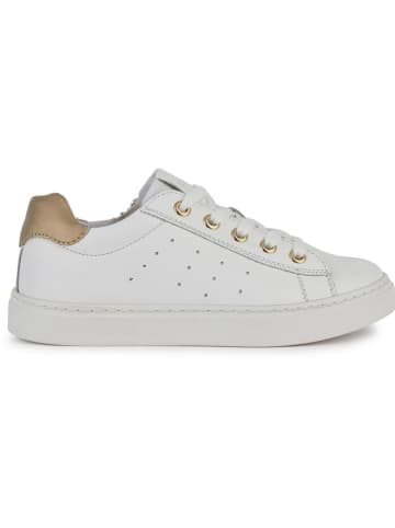 Geox Sneakers "Nashik" in Weiß