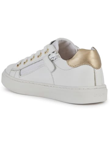 Geox Sneakers "Nashik" wit