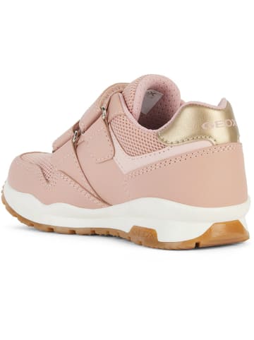 Geox Sneakers "Pavel" in Rosa