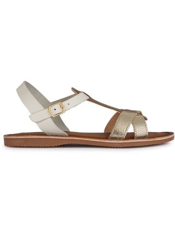 Geox Leder-Sandalen "Eolie" in Weiß/ Gold