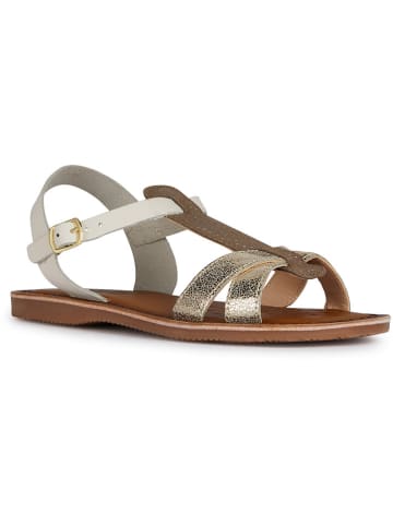Geox Leder-Sandalen "Eolie" in Weiß/ Gold