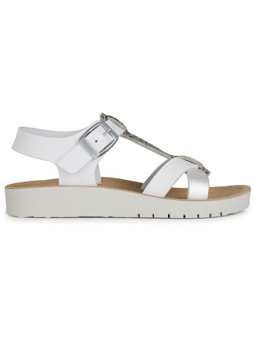 Geox Sandalen "Costarei" wit/zilverkleurig