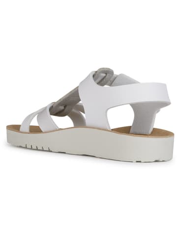 Geox Sandalen "Costarei" in Weiß/ Silber