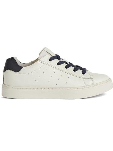 Geox Sneakers "Nashik" in Creme