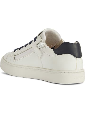 Geox Sneakers "Nashik" in Creme