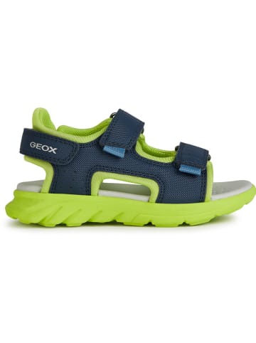 Geox Sandalen "Airadyum" in Dunkelblau