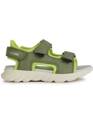 Geox Sandalen "Airadyum" in Grün