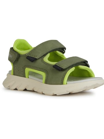 Geox Sandalen "Airadyum" in Grün