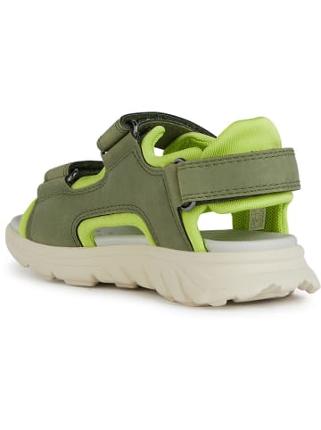 Geox Sandalen "Airadyum" in Grün