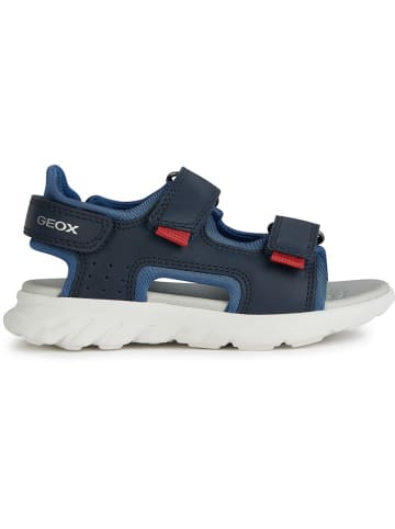 Geox Leder-Sandalen "Airadyum" in Dunkelblau