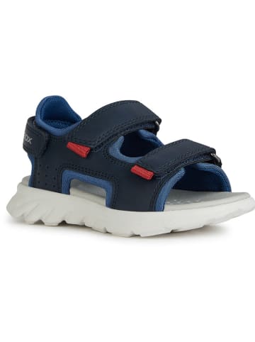 Geox Leder-Sandalen "Airadyum" in Dunkelblau