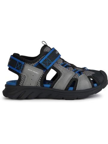 Geox Enkelsandalen "Airadyum" grijs