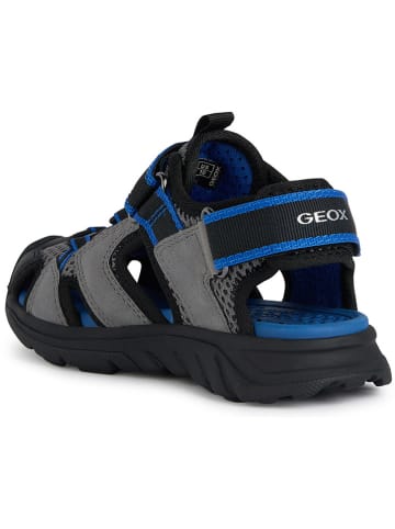 Geox Halbsandalen "Airadyum" in Grau