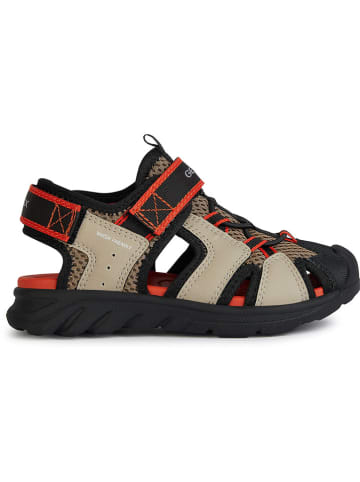 Geox Enkelsandalen "Airadyum" beige