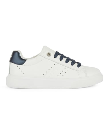 Geox Sneakers "Nettuno" in Weiß