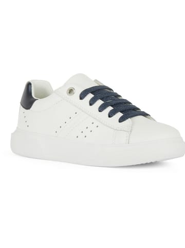 Geox Sneakers "Nettuno" in Weiß