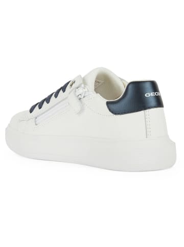 Geox Sneakers "Nettuno" in Weiß