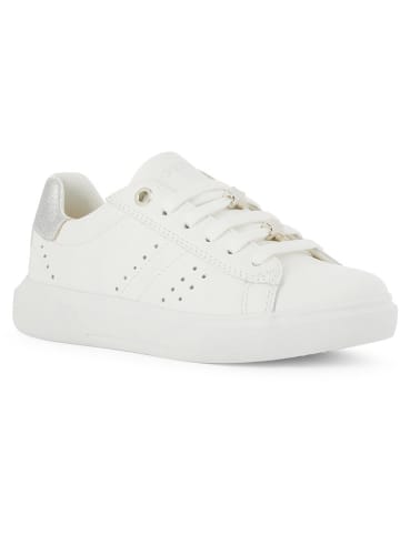 Geox Sneakers "Nettuno" in Weiß