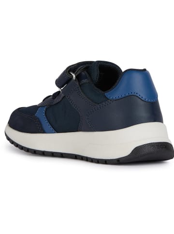 Geox Sneakers "Briezee" in Dunkelblau