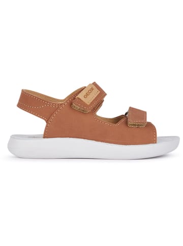 Geox Leder-Sandalen "Lightfloppy" in Hellbraun