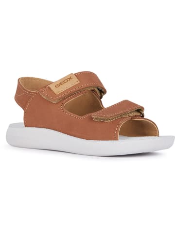 Geox Leder-Sandalen "Lightfloppy" in Hellbraun