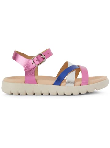 Geox Leder-Sandalen "Soleima" in Rosa/ Blau