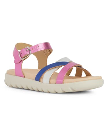 Geox Leder-Sandalen "Soleima" in Rosa/ Blau