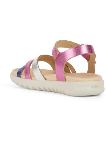 Geox Leren sandalen "Soleima" lichtroze/blauw