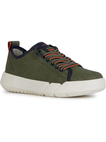 Geox Sneakers "Hyroo" kaki