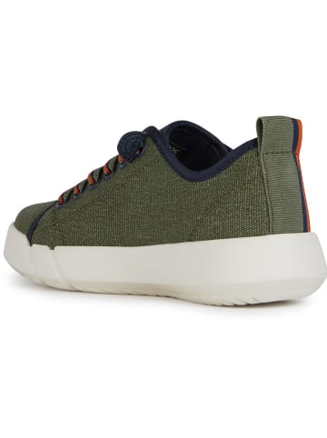 Geox Sneakers "Hyroo" in Khaki