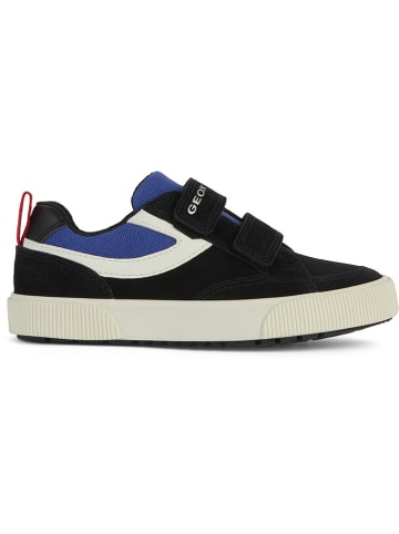 Geox Sneakers "Alphabeet" in Dunkelblau