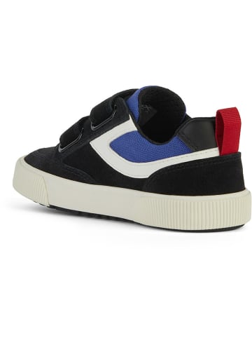 Geox Sneakers "Alphabeet" in Dunkelblau