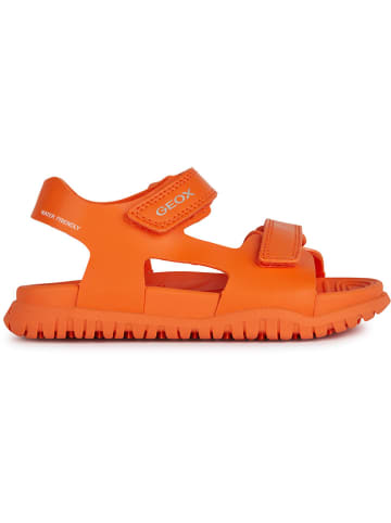 Geox Sandalen "Fusbetto" in Orange