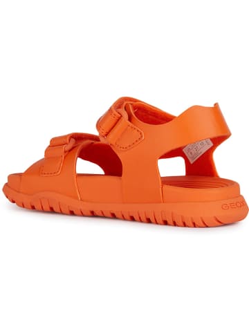 Geox Sandalen "Fusbetto" in Orange