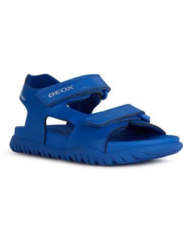 Geox Sandalen "Fusbetto" in Blau
